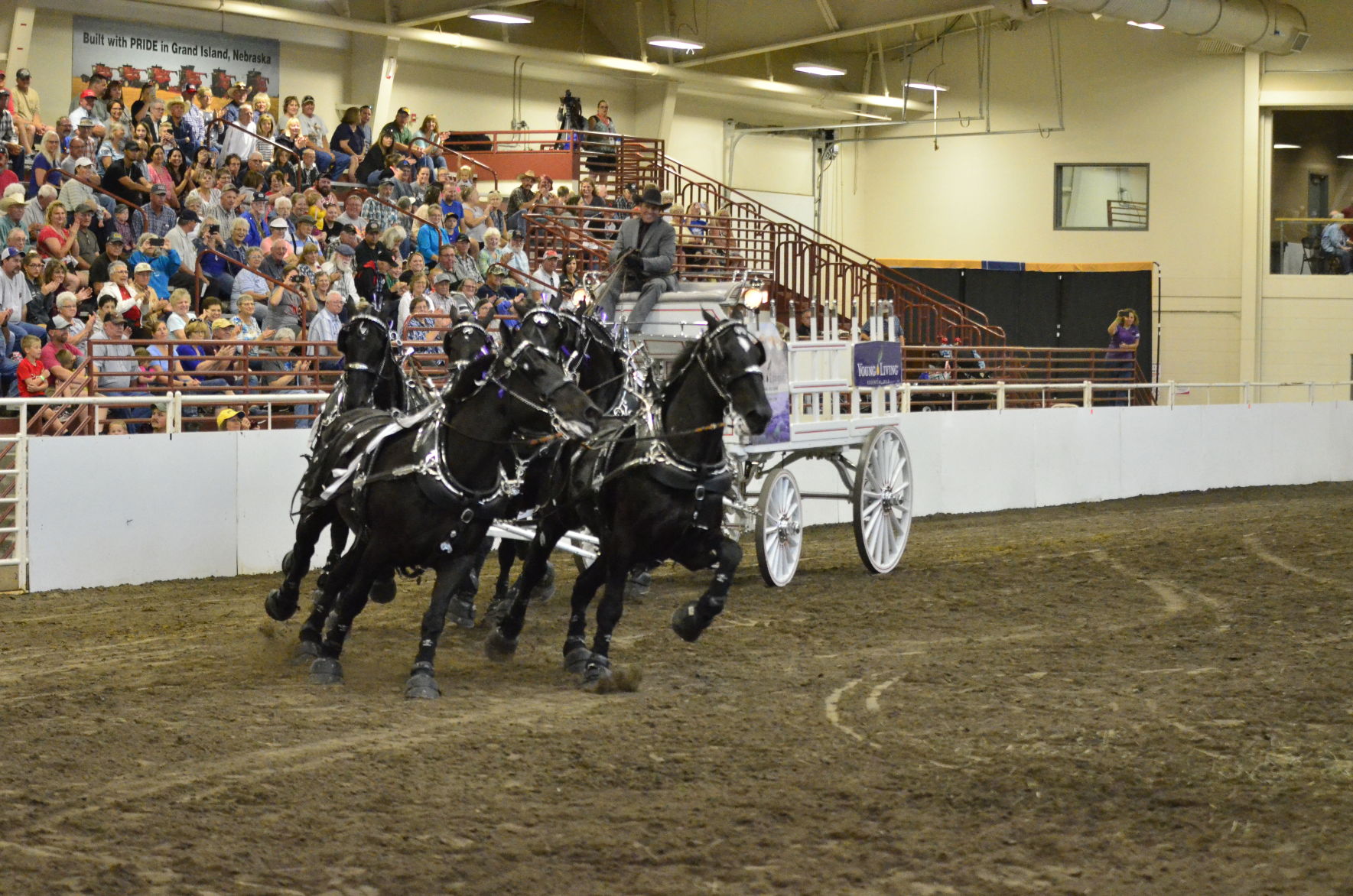 8-25-19 Draft Horse Hitch Final (96).JPG